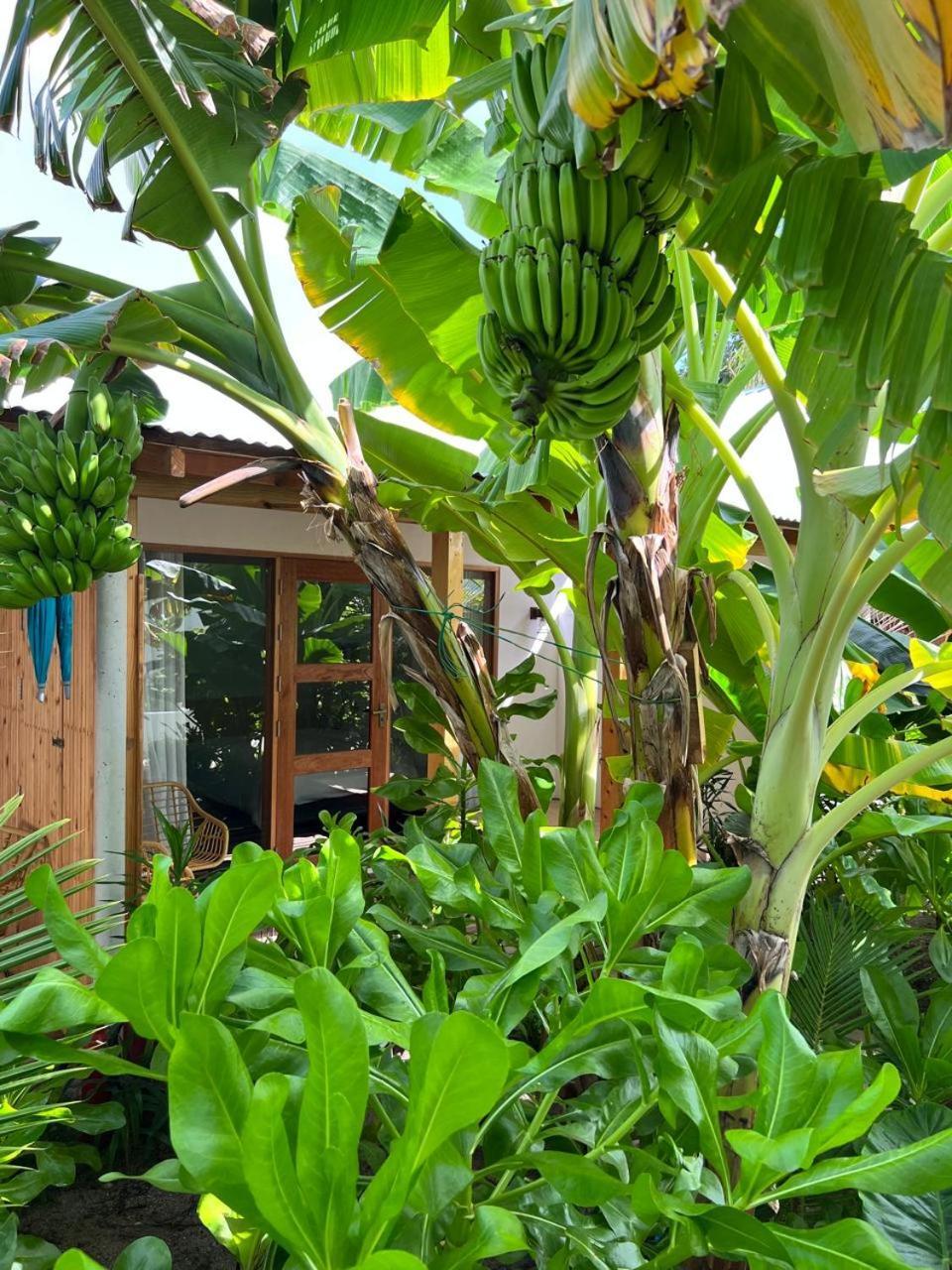 Seaside Dhigurah Hotel Дхигура Екстериор снимка